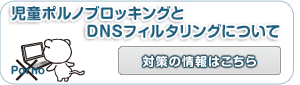 児童ポルノブロッキングとDNSフィルタリングについて