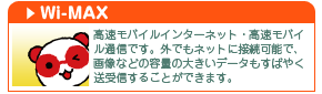 WiMAX